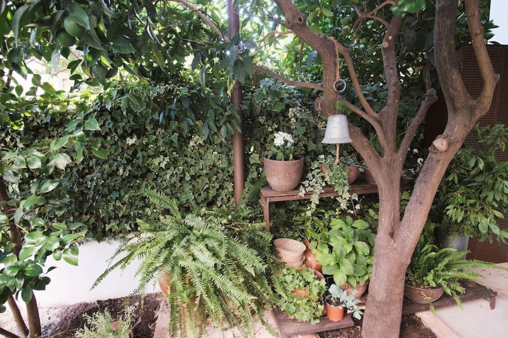 Villa La Casa Del Jardin Candeleda Esterno foto
