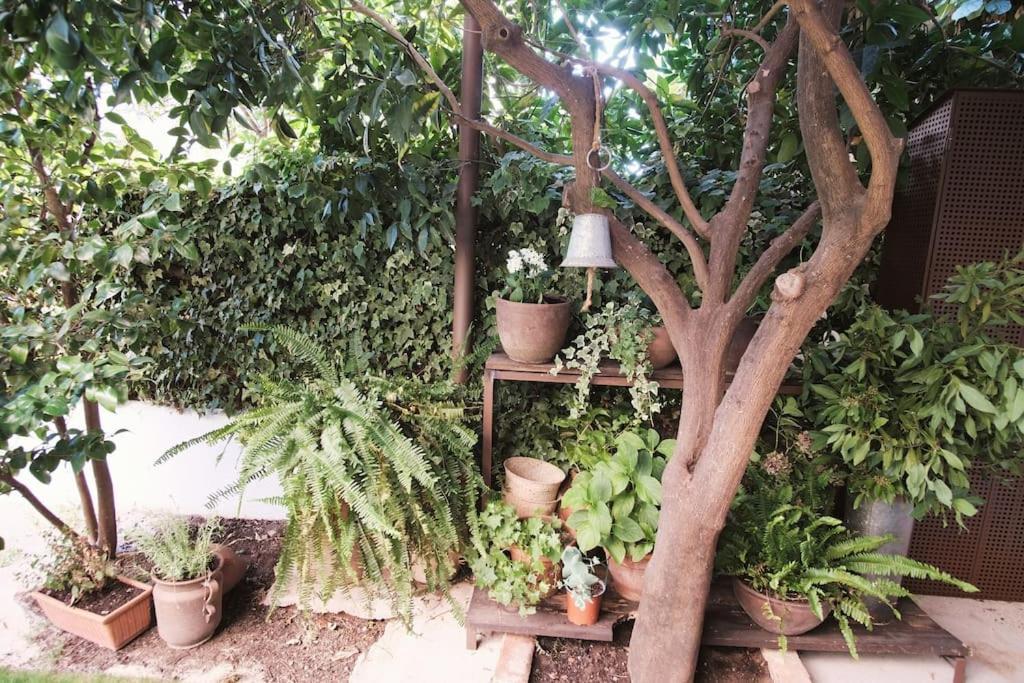 Villa La Casa Del Jardin Candeleda Esterno foto